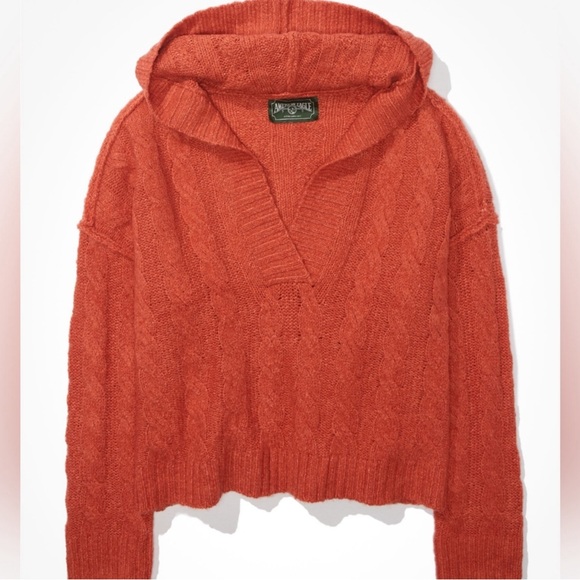 NWT American Eagle Oversized Cropped V-Neck Hooded Sweater - Picture 6 of 11